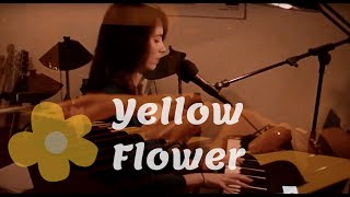 KT Tunstall - Yellow Flower [live recording cover]