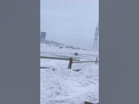 Роска - YouTube