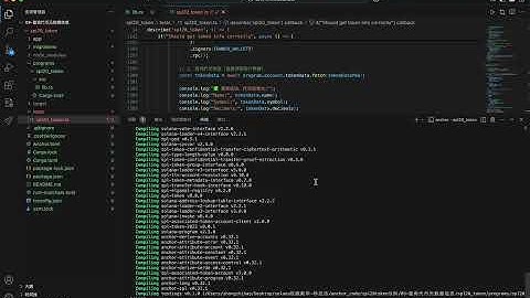 9  实现spl20 token   查询代币元数据信息