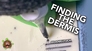 Tattooing 101 Finding The Dermis