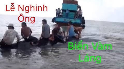 Lễ hội cúng cá Ông ( Nghinh Ông ) tại biển Vàm Láng , huyện Gò Công Đông tỉnh Tiền Giang .