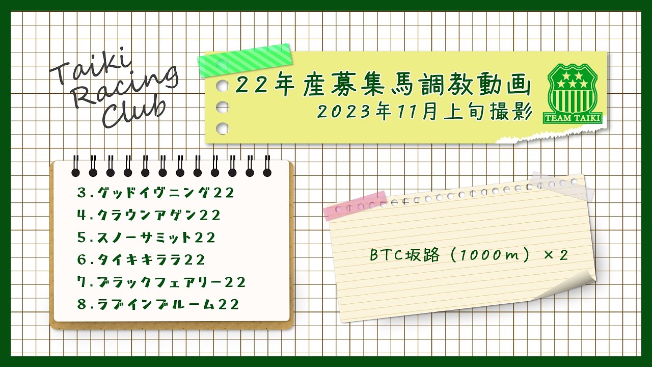 【22年産】調教動画①　BTC坂路コース　2023年11月上旬撮影