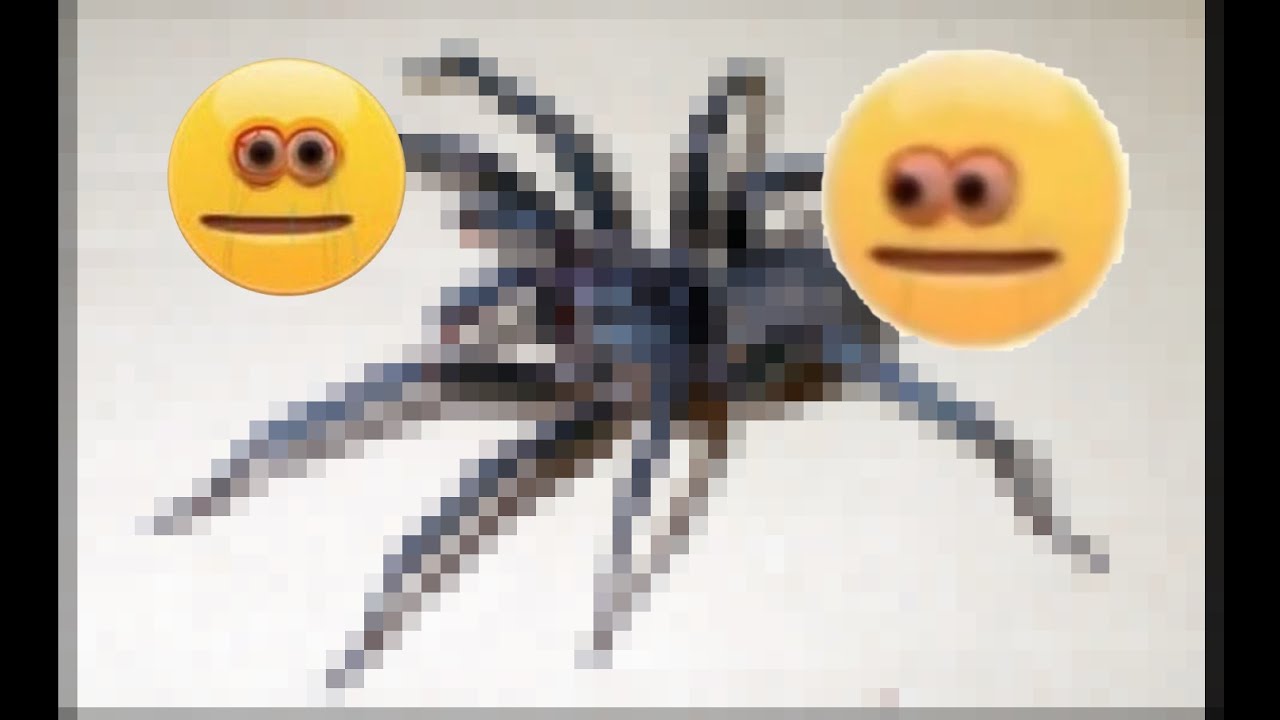 like and subscribe or this spider will crawl on you when you’re