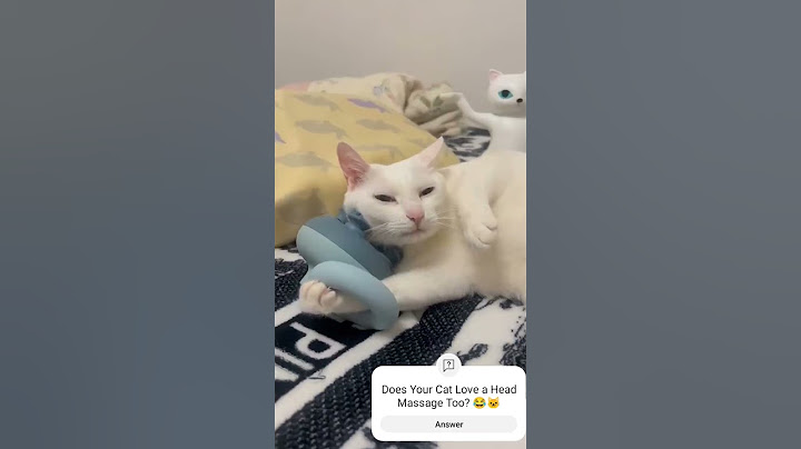 My Cat Loves Head Massages with an Electric Massager! 😂🐱#CatAntics#PetVlog#ViralCats
