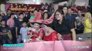 KERJA TAHUN KE 52 PETANI JAYA 2024 - PENGELEGIKU ( ICHE BR GINTING )