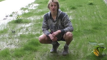 Morrel Mushroom Boy | Sabre 60 Second Docs