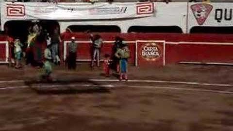 diego en la plaza de toros