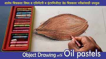 How to Draw Coconut, Elementary Object Drawing, Intermediate still life, Narial Drawing