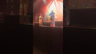 Watch Saw Doctors Fca video