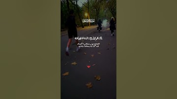تلاوة خاشعة لآيات من كتاب الله #القرآن_الكريم #القرآن #المصحف #الله #اكسبلور #foryou #viral