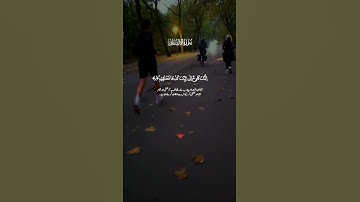 تلاوة خاشعة لآيات من كتاب الله #القرآن_الكريم #القرآن #المصحف #الله #اكسبلور #foryou #viral