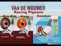 Hok Van De Wouwer Pigeons
