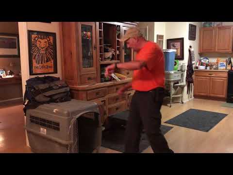 aggressive-nervous-dog-working-out-his-issues,-las-vegas-dog-training