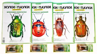 НАСТОЯЩИЕ ЖУКИ И ПАУКИ в новой коллекции журналов MODIMIO! Удивительный мир ЭКЗОТИЧЕСКИХ НАСЕКОМЫХ!