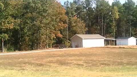 T-Rex 550e First Flight