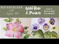 Part 3 Wild Roses in Watercolour with Angela Fehr: Wet in Wet Roses