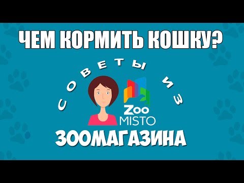 Правильное питание кошек | Как и чем лучше кормить кошек | Виды Кормов | Советы из зоомагазина