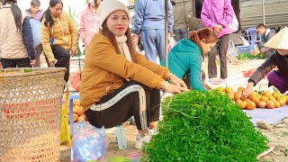 Harvest, celery, go to the market to sell vegetables and take care of the farm #140 farm life