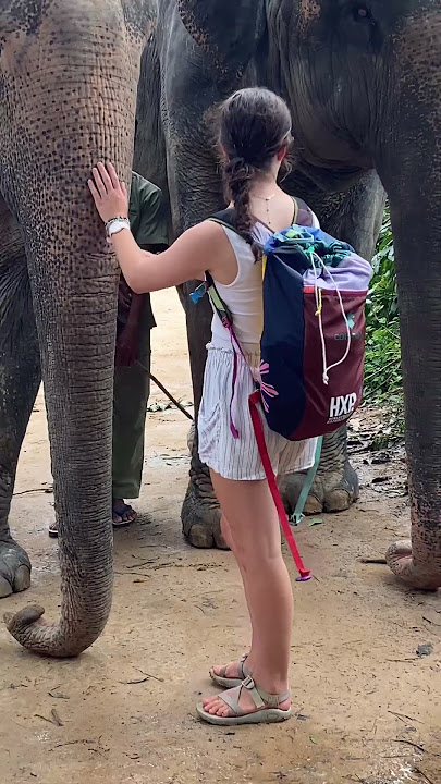 One quick touch long memory ❤️🐘🥰 #elephant #keffamily #babyelephant #kef #chimean