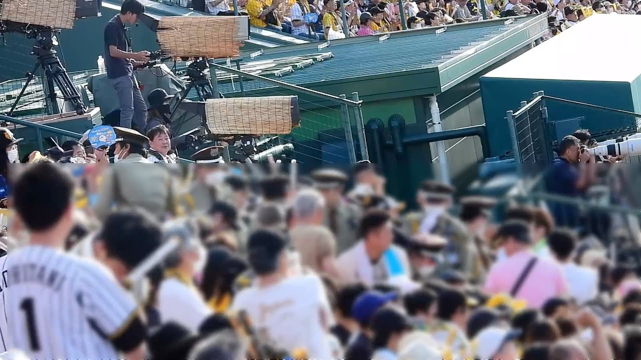 5/28(日)阪神vs巨人　甲子園　ライトスタンド２席　雨保障