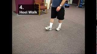 Fall Prevention Exercises (Balance Series) - Heel Walking