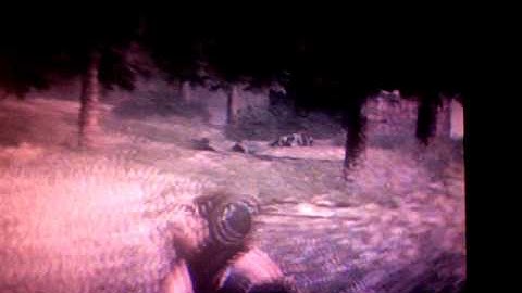 out of asylum on cod 5