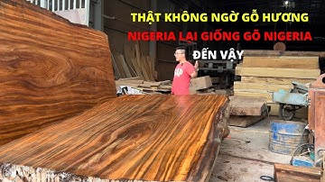Thật Không Ngờ Gỗ Hương Nigeria lại Giống Gõ Đỏ Nigeria đến Vậy | Nguyễn Văn Cương