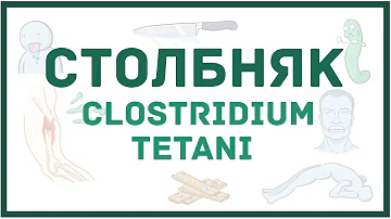 Столбняк и Clostridium tetani - причины, симптомы, диагностика, лечение, микробиология