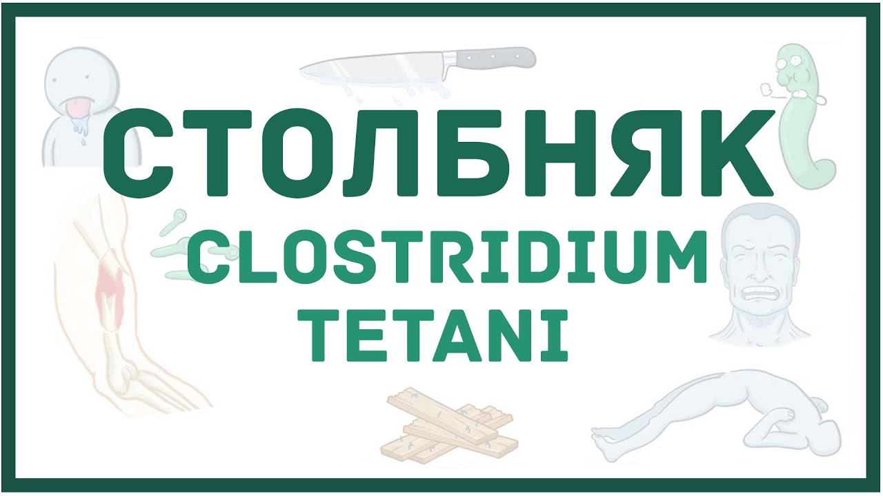 Столбняк и Clostridium tetani - причины, симптомы, диагностика, лечение, микробиология