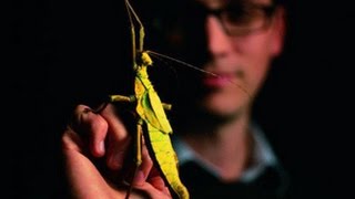 Inside the Insect Zoo with Dan Babbitt