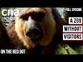 Inside The Singapore Zoo During COVID-19 Lockdown | On The Red Dot | Inside A Zoo