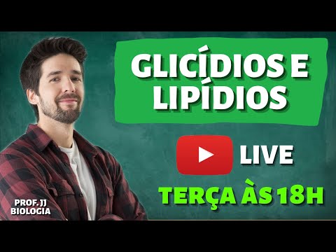 Vídeo: Os lipídios entram no lacto?