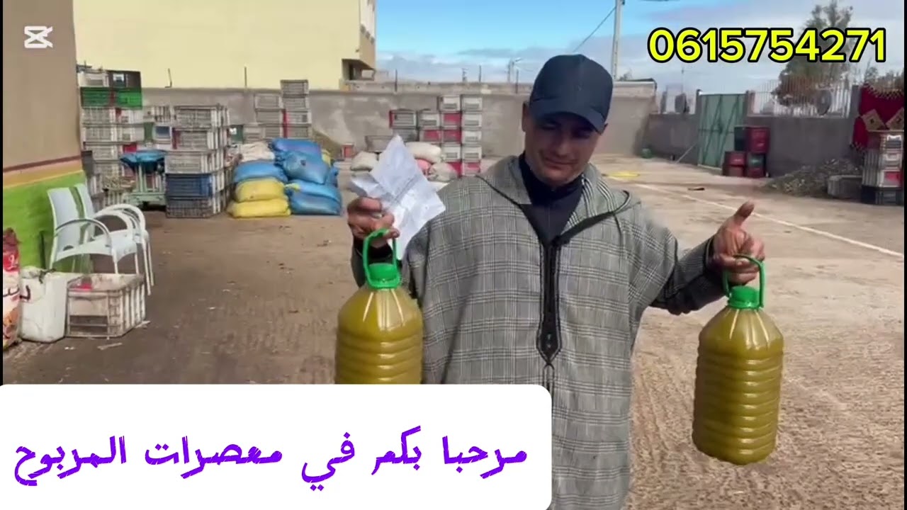 جوده زيت الزيتون نوع اشجار الحوزيه بقلعه السراغنه منطقه الحافاه بتاريخ اليوم 🫒 13/2/2026🫒