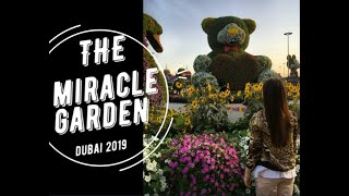 My dubai trip part 2: miracle garden and butterfly park 2019
