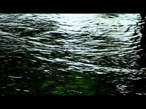 Peperit Virgo Video