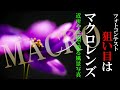 【プロの解説！近所で撮る風景写真でフォトコンテスト入賞を狙う！】公園ネイチャー！マクロレンズ編 +レタッチ