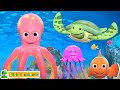 Learn Sea Animals with Fun Song - Underwater Ballet by Little Treehouse