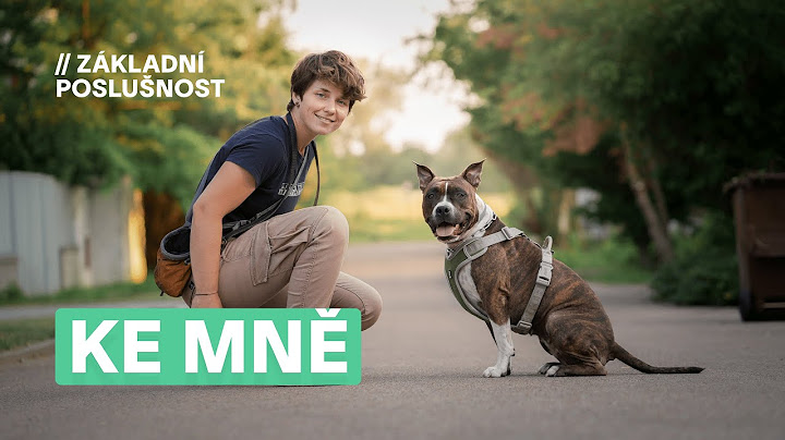 Jak naučit psa Ke mně? | Základní poslušnost