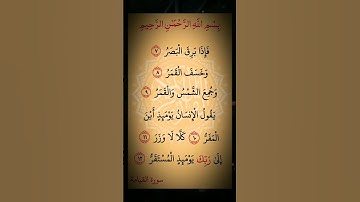 #القران_كريم 🎆#سوره #القيامة #اكسبلور #لايك 🌸 #استغفرالله 🏵️