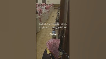 تلاوات من سورة الفجر #محمد_اللحيدان #تلاوة_خاشعة #قرآن #reels #اكسبلور