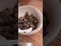 Водные прогулки с Ником #хаски #владивосток #shorts