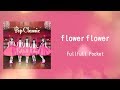 Fullfull Pocket「flower flower」