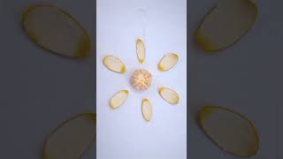 Orange Juice Commercial (Advertisement) Stop-motion Animation