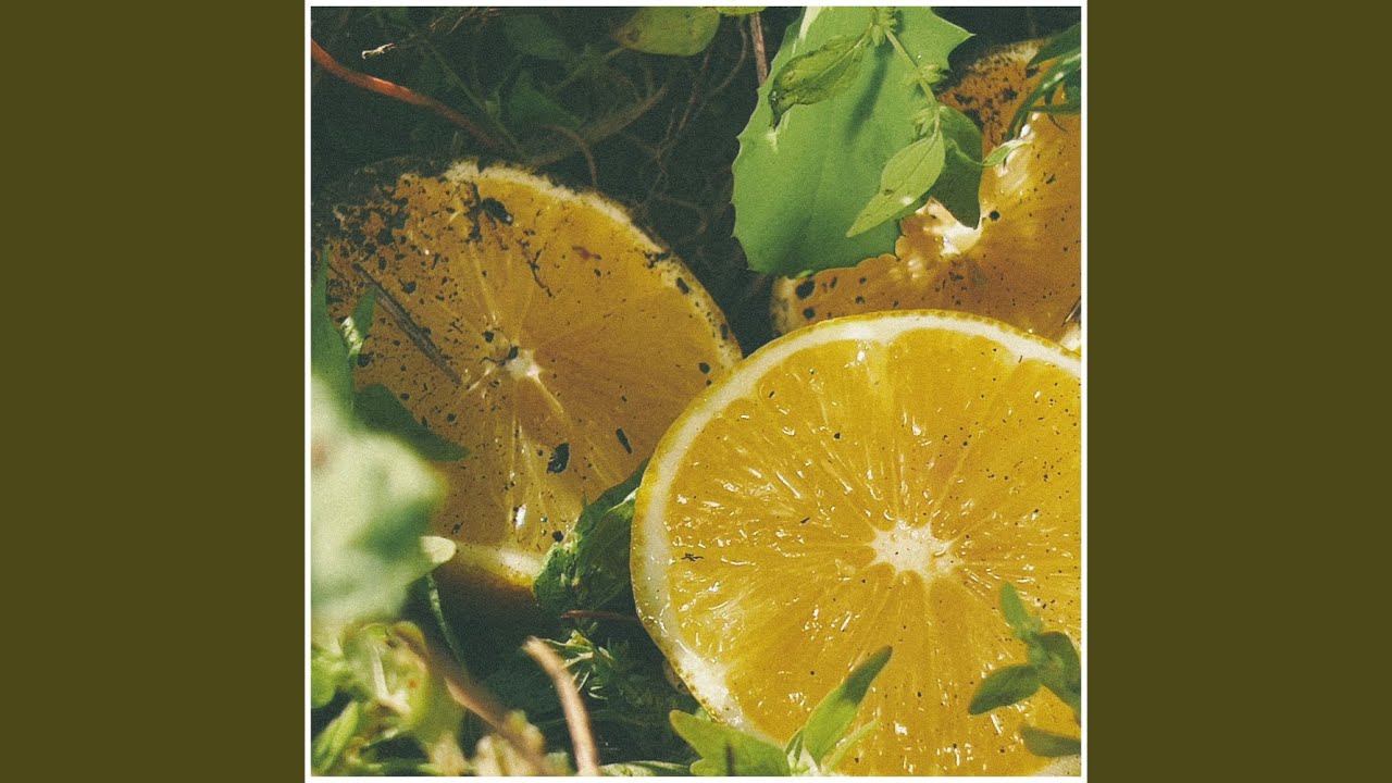 在 YouTube 上观看 Retriever 在 YouTube 上观看 Retriever