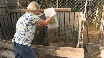 Composting Chicken Manure  - This Week In the Garden