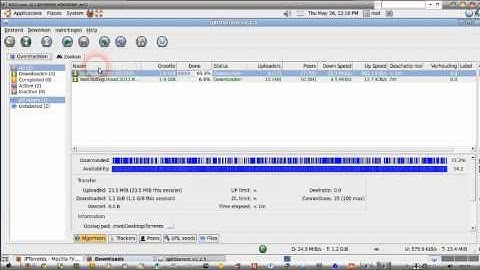 Seedboxfarm Extreme Torrenting with Ubuntu Desktop on VPS
