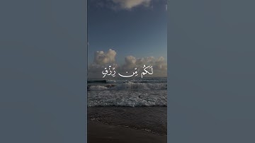 سورة يونس 58-59 | عبدالرحمن مسعد [قراءة 2023]