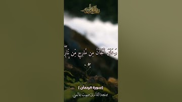 ماتيسّر من سورة الرحمٰن || #صهيب_غالمي