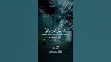 اكتب شيء تأجر عليه💚 | ارح قلبك 🕊️ | تلاوة هادئة تذيب القلوب |  (القارئ اسلام صبحي ) #quran #قرآن