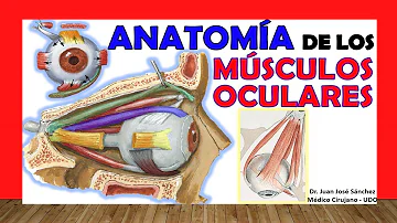 ¿Qué es el músculo ciliar del ojo?